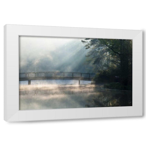 Georgia Sunlit mist on bridge over lake White Modern Wood Framed Art Print by Rotenberg, Nancy