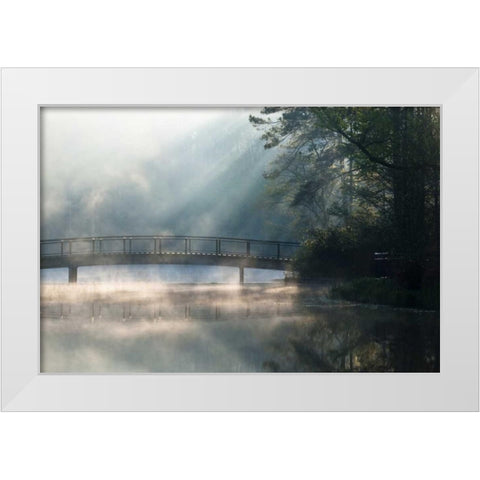 Georgia Sunlit mist on bridge over lake White Modern Wood Framed Art Print by Rotenberg, Nancy