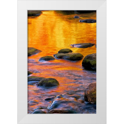 PA, Delaware Water Gap Bright sun on water White Modern Wood Framed Art Print by OBrien, Jay