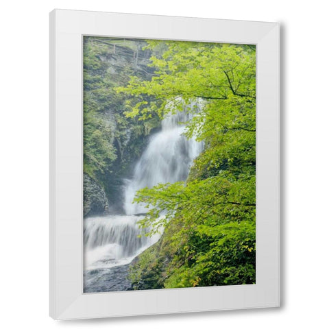 PA, Dingmans Ferry, Dingmans Ferry Falls White Modern Wood Framed Art Print by OBrien, Jay