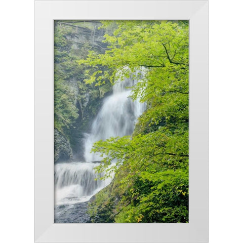PA, Dingmans Ferry, Dingmans Ferry Falls White Modern Wood Framed Art Print by OBrien, Jay