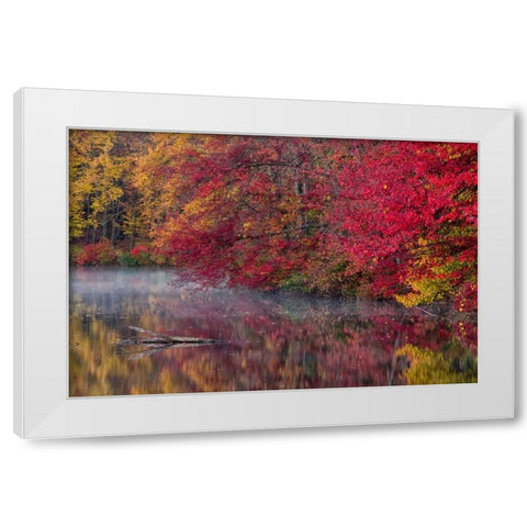 PA, Hidden Lake Trees in autumn reflect in lake White Modern Wood Framed Art Print by OBrien, Jay