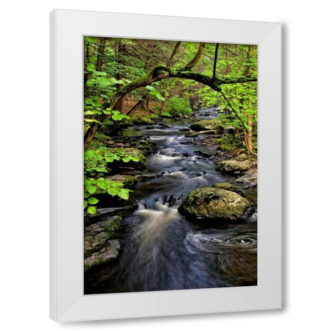 PA, Dingmans Ferry, Childs Park Dingmans Creek White Modern Wood Framed Art Print by OBrien, Jay