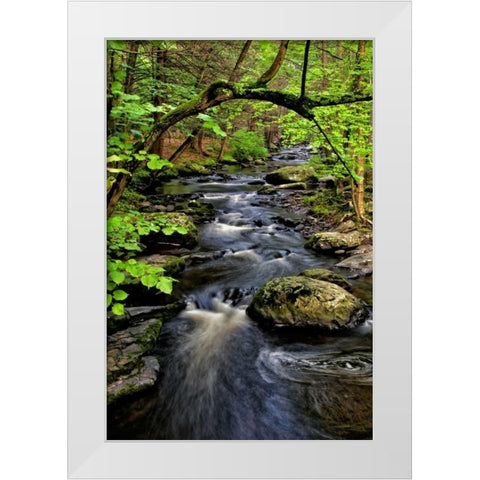 PA, Dingmans Ferry, Childs Park Dingmans Creek White Modern Wood Framed Art Print by OBrien, Jay