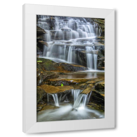 Pennsylvania Waterfall in Ricketts Glen SP White Modern Wood Framed Art Print by OBrien, Jay