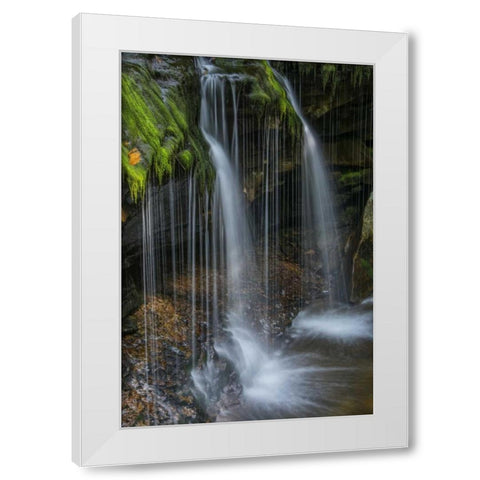 Pennsylvania Waterfall in Ricketts Glen SP White Modern Wood Framed Art Print by OBrien, Jay