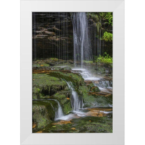 Pennsylvania Waterfall in Ricketts Glen SP White Modern Wood Framed Art Print by OBrien, Jay