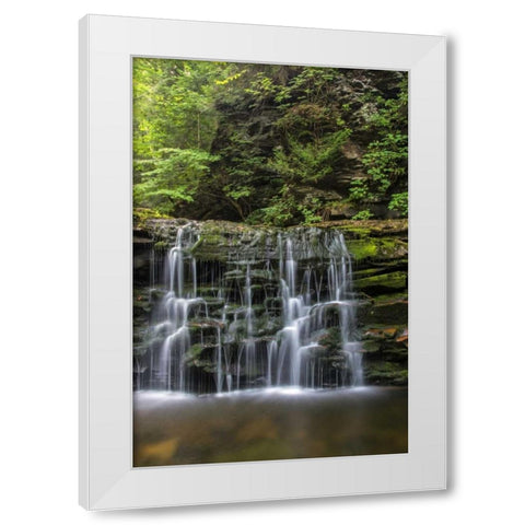 Pennsylvania Waterfall in Ricketts Glen SP White Modern Wood Framed Art Print by OBrien, Jay