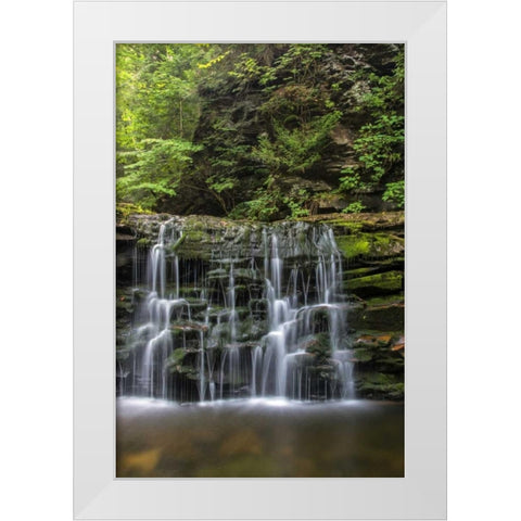 Pennsylvania Waterfall in Ricketts Glen SP White Modern Wood Framed Art Print by OBrien, Jay