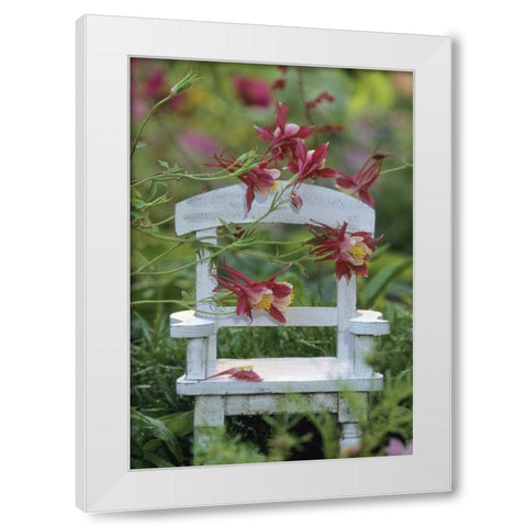 Pennsylvania Columbine and chair in garden White Modern Wood Framed Art Print by Rotenberg, Nancy