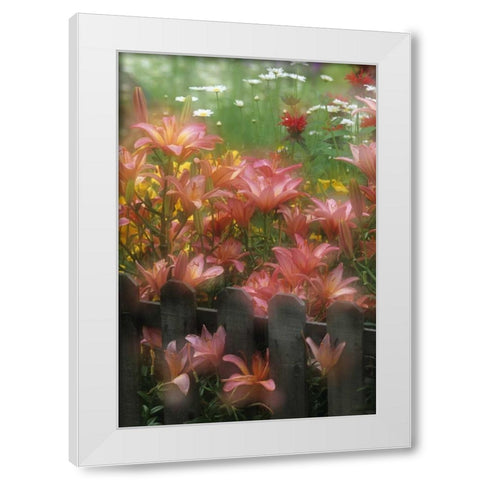 PA, Double exposure of lilies and fence in garden White Modern Wood Framed Art Print by Rotenberg, Nancy