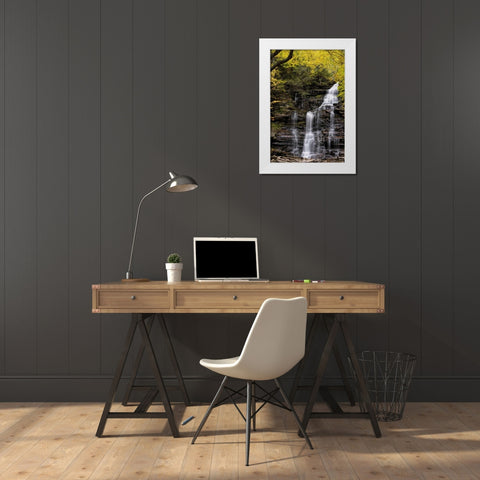 Pennsylvania Waterfall in Ricketts Glen SP White Modern Wood Framed Art Print by OBrien, Jay