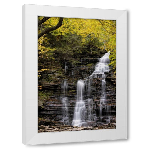 Pennsylvania Waterfall in Ricketts Glen SP White Modern Wood Framed Art Print by OBrien, Jay