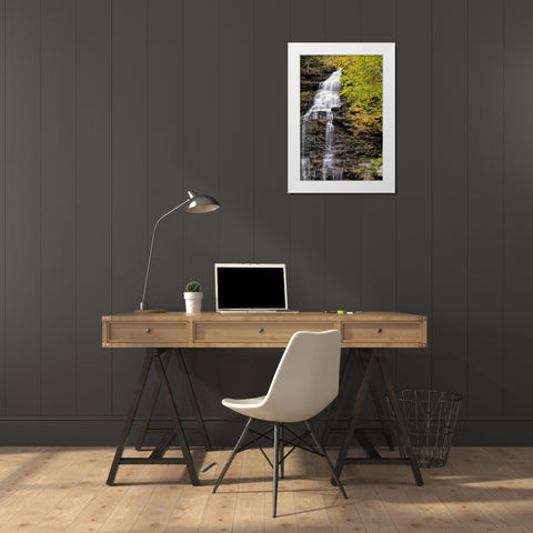 Pennsylvania Waterfall in Ricketts Glen SP White Modern Wood Framed Art Print by OBrien, Jay