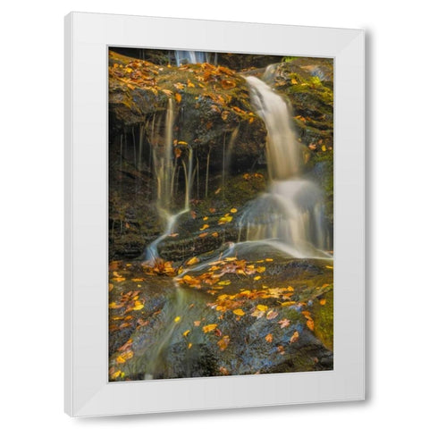 PA, Delaware Water gap NRA Waterfall over rocks White Modern Wood Framed Art Print by OBrien, Jay