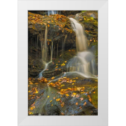 PA, Delaware Water gap NRA Waterfall over rocks White Modern Wood Framed Art Print by OBrien, Jay