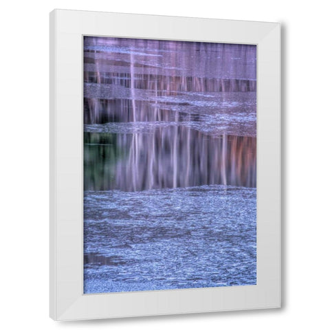 PA, Delaware Water gap NRA Tree reflection White Modern Wood Framed Art Print by OBrien, Jay