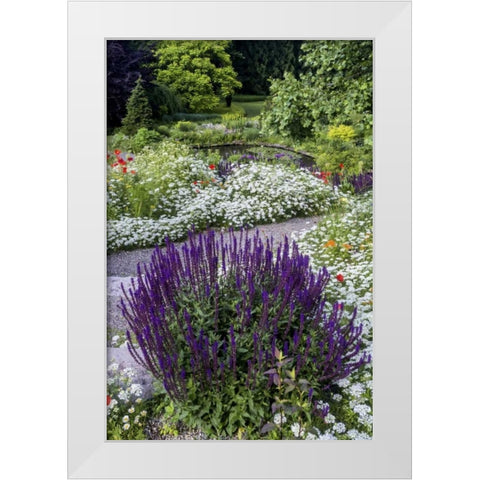USA, Pennsylvania Summer flowers White Modern Wood Framed Art Print by OBrien, Jay