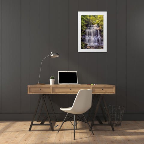 PA, Benton, Ricketts Glen SP Ganoga Falls White Modern Wood Framed Art Print by OBrien, Jay