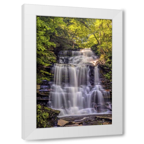 PA, Benton, Ricketts Glen SP Ganoga Falls White Modern Wood Framed Art Print by OBrien, Jay