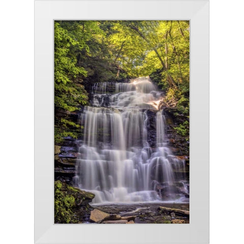 PA, Benton, Ricketts Glen SP Ganoga Falls White Modern Wood Framed Art Print by OBrien, Jay