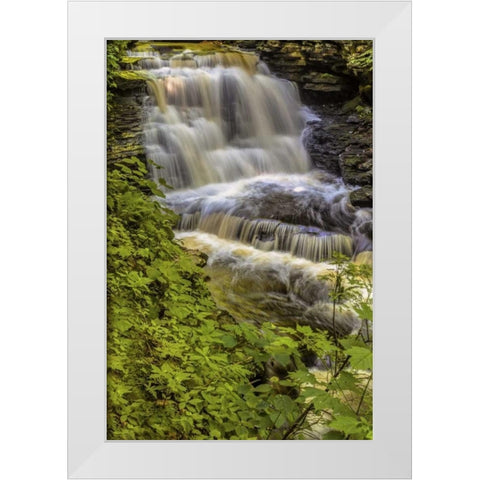Pennsylvania, Ricketts Glen SP Delaware Falls White Modern Wood Framed Art Print by OBrien, Jay