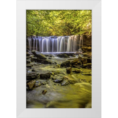 PA, Benton, Ricketts Glen SP Oneida Falls White Modern Wood Framed Art Print by OBrien, Jay
