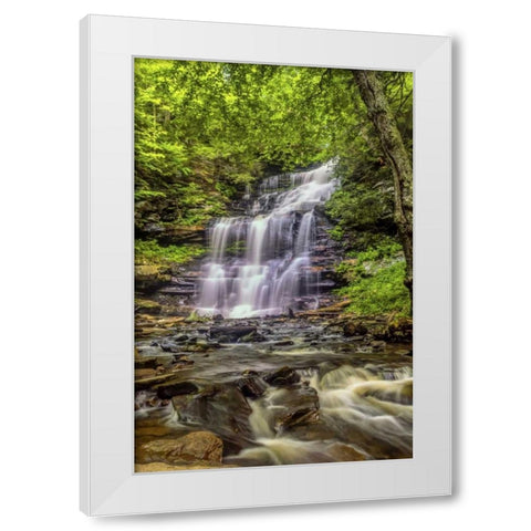 Pennsylvania, Ricketts Glen SP Mohican Falls White Modern Wood Framed Art Print by OBrien, Jay