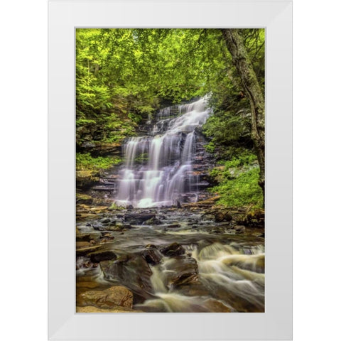 Pennsylvania, Ricketts Glen SP Mohican Falls White Modern Wood Framed Art Print by OBrien, Jay