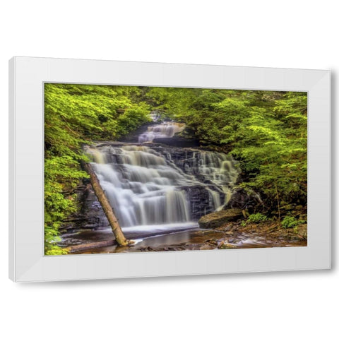 Pennsylvania, Ricketts Glen SP Mohican Falls White Modern Wood Framed Art Print by OBrien, Jay