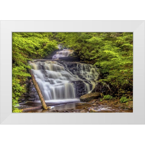 Pennsylvania, Ricketts Glen SP Mohican Falls White Modern Wood Framed Art Print by OBrien, Jay