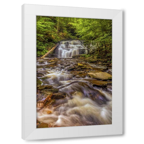 Pennsylvania, Ricketts Glen SP Mohican Falls White Modern Wood Framed Art Print by OBrien, Jay
