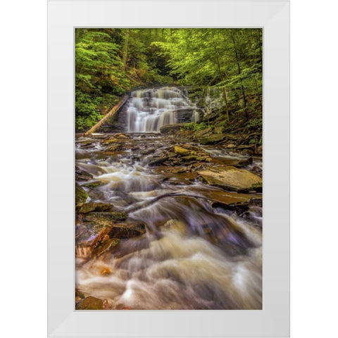 Pennsylvania, Ricketts Glen SP Mohican Falls White Modern Wood Framed Art Print by OBrien, Jay