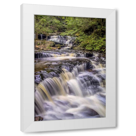 Pennsylvania, Ricketts Glen SP Delaware Falls White Modern Wood Framed Art Print by OBrien, Jay