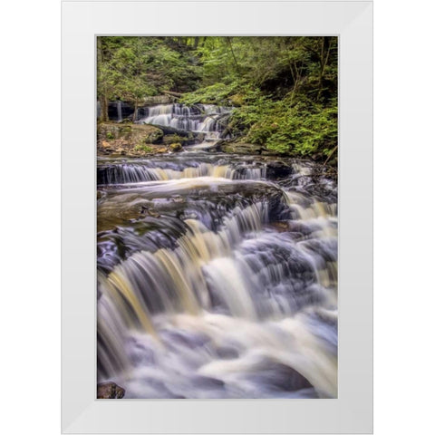 Pennsylvania, Ricketts Glen SP Delaware Falls White Modern Wood Framed Art Print by OBrien, Jay