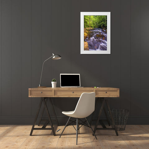 Pennsylvania, Ricketts Glen SP Kitchen Creek White Modern Wood Framed Art Print by OBrien, Jay