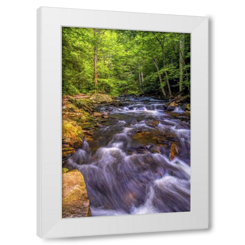 Pennsylvania, Ricketts Glen SP Kitchen Creek White Modern Wood Framed Art Print by OBrien, Jay
