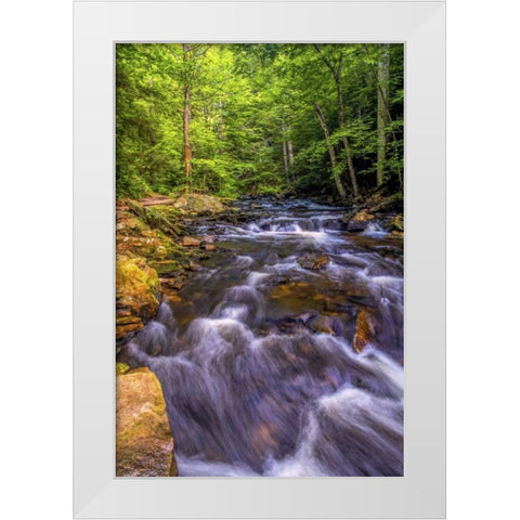Pennsylvania, Ricketts Glen SP Kitchen Creek White Modern Wood Framed Art Print by OBrien, Jay