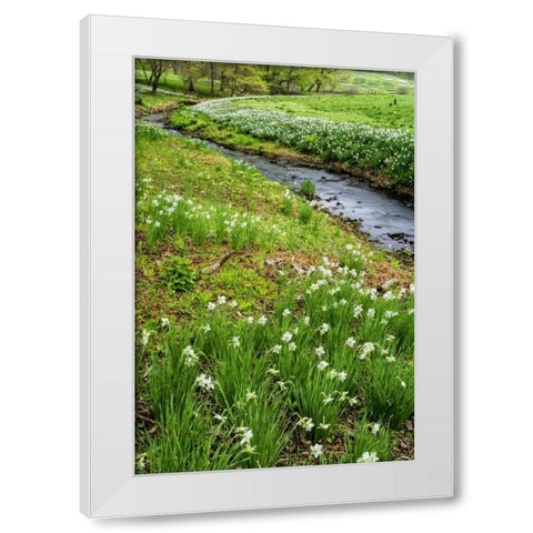 USA, Pennsylvania Spring scenic White Modern Wood Framed Art Print by OBrien, Jay