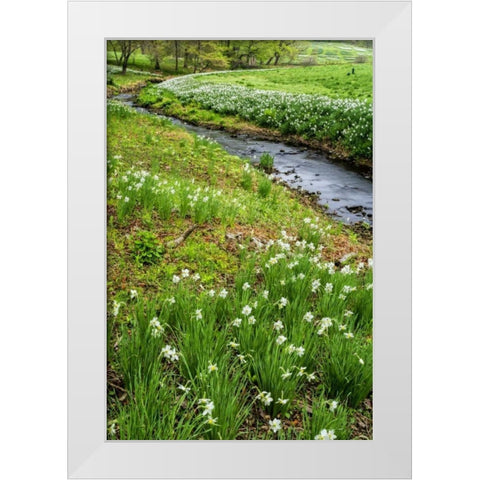 USA, Pennsylvania Spring scenic White Modern Wood Framed Art Print by OBrien, Jay
