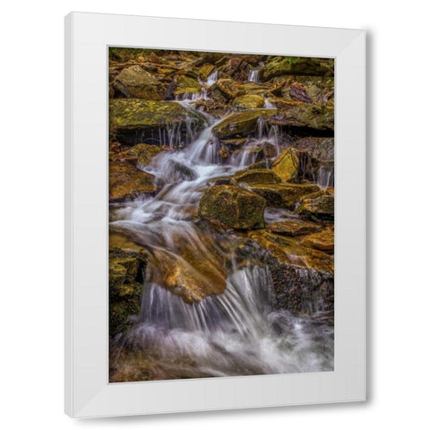 Pennsylvania, Ricketts Glen SP Kitchen Creek White Modern Wood Framed Art Print by OBrien, Jay