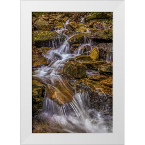 Pennsylvania, Ricketts Glen SP Kitchen Creek White Modern Wood Framed Art Print by OBrien, Jay
