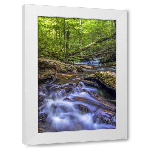Pennsylvania, Ricketts Glen SP Kitchen Creek White Modern Wood Framed Art Print by OBrien, Jay