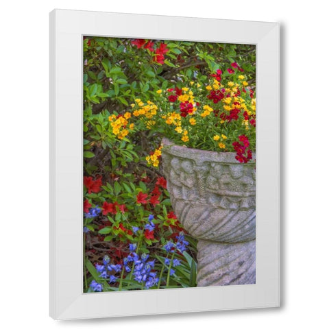 USA, Pennsylvania Flower scenic White Modern Wood Framed Art Print by OBrien, Jay