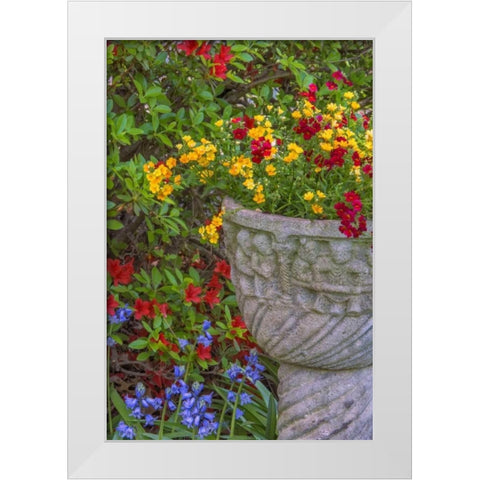 USA, Pennsylvania Flower scenic White Modern Wood Framed Art Print by OBrien, Jay