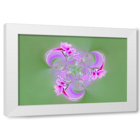Drummond Phlox-Hilton Head Island-South Carolina White Modern Wood Framed Art Print by Jones, Adam