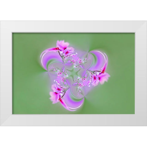 Drummond Phlox-Hilton Head Island-South Carolina White Modern Wood Framed Art Print by Jones, Adam