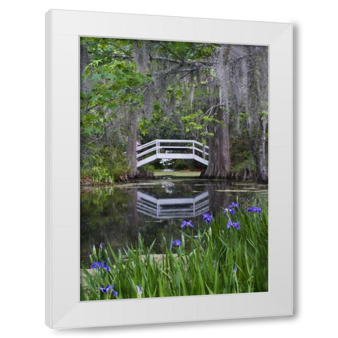 South Carolina, Wood footbridge reflects in pond White Modern Wood Framed Art Print by Rotenberg, Nancy
