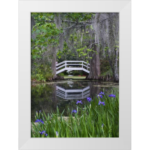 South Carolina, Wood footbridge reflects in pond White Modern Wood Framed Art Print by Rotenberg, Nancy