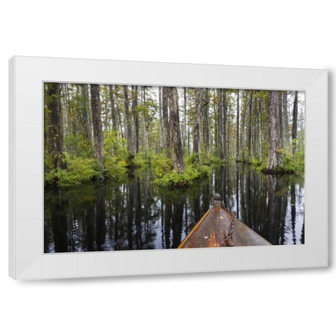 South Carolina Boat bow in cypress swamp White Modern Wood Framed Art Print by Paulson, Don